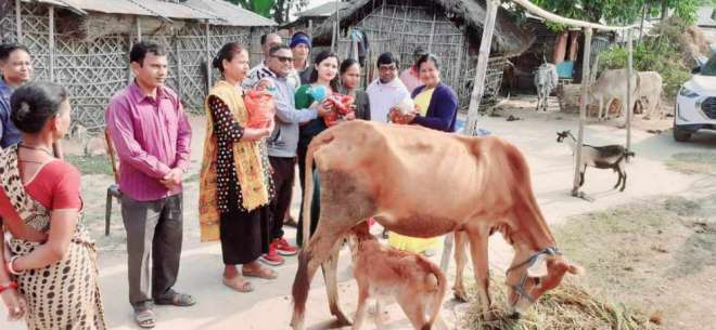 तिम्ल्याहा जन्मेपछि दुधालु गाई उपहार